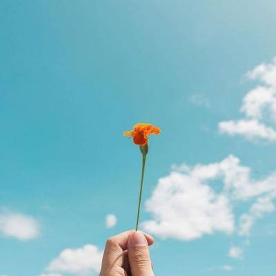 米乐m6登录米乐平台