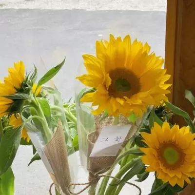 kaiyun体育全站下载手机版截图